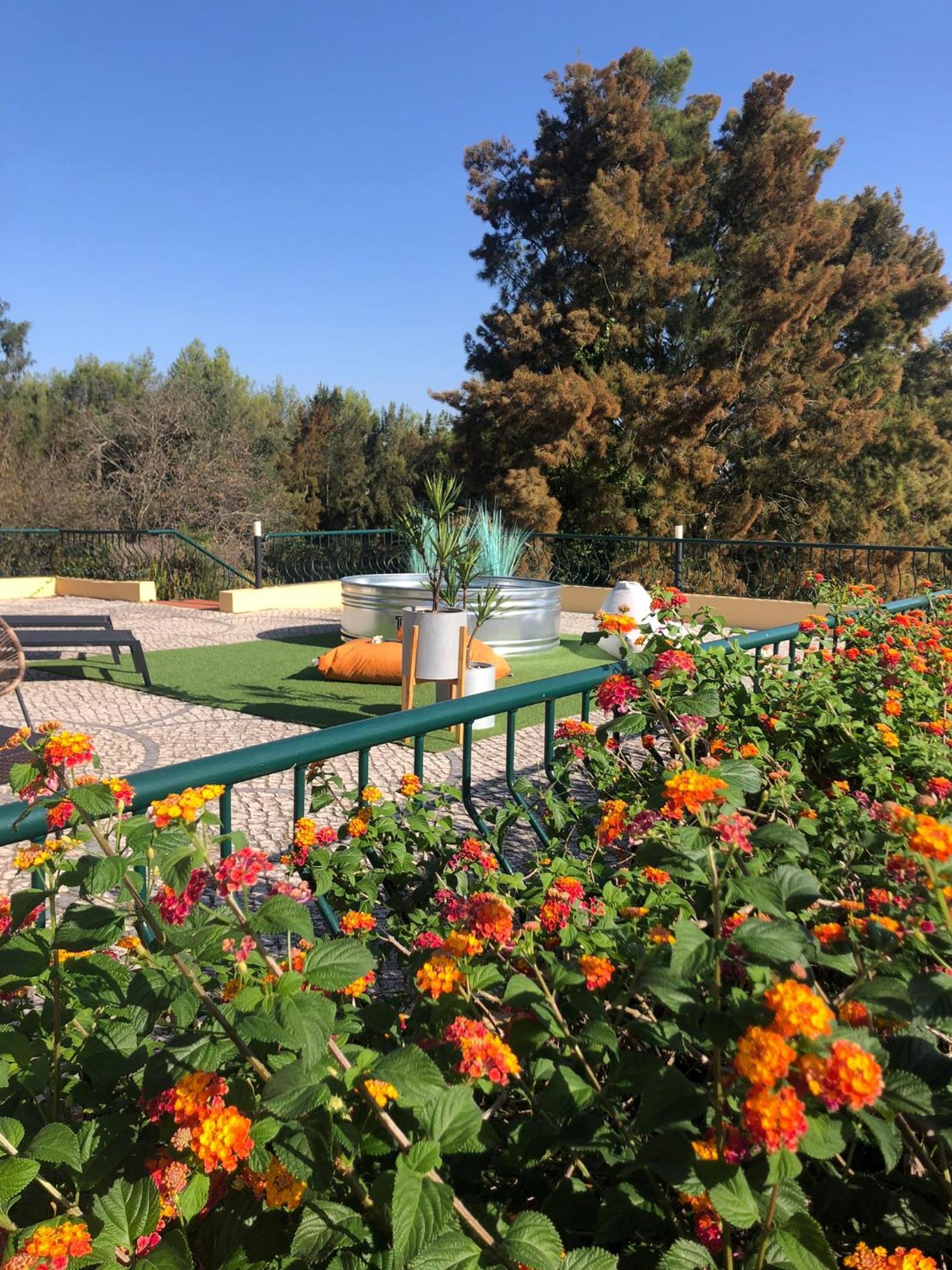 Villa Casal Assis Setúbal Dış mekan fotoğraf